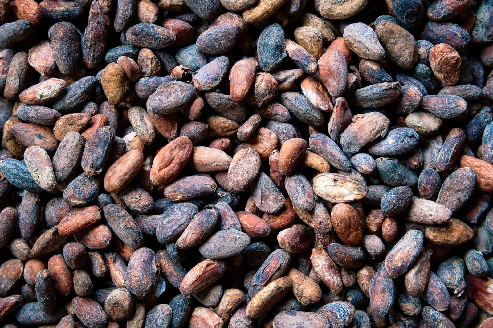 Materia prima de calidad